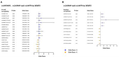 Impact of MMP2 rs243849 and rs14070 genetic polymorphisms on the ischemic stroke susceptibility in Chinese Shaanxi population